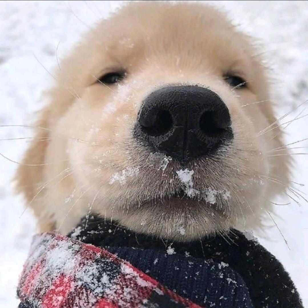 爱在^西元前