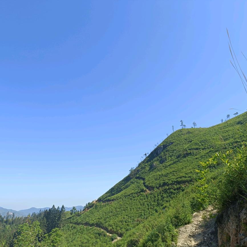 平平淡淡 才是真