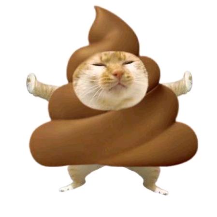 13.