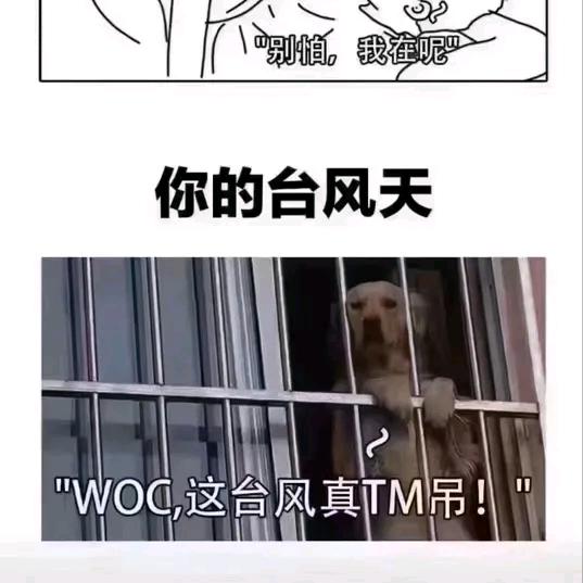 青筋 说我是细狗？