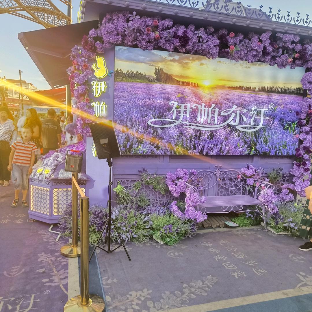 鹏飞在努力