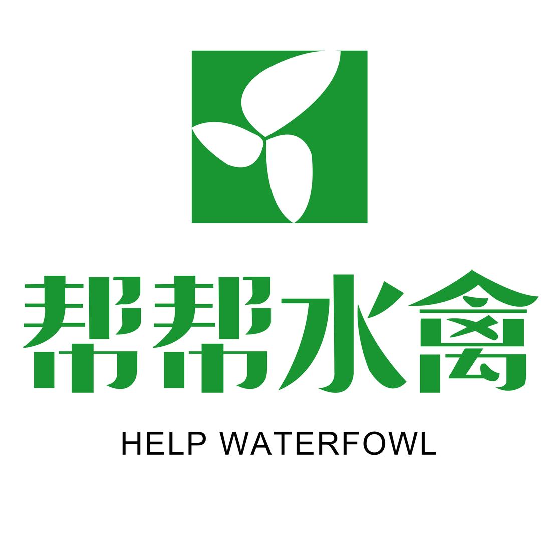 帮帮水禽