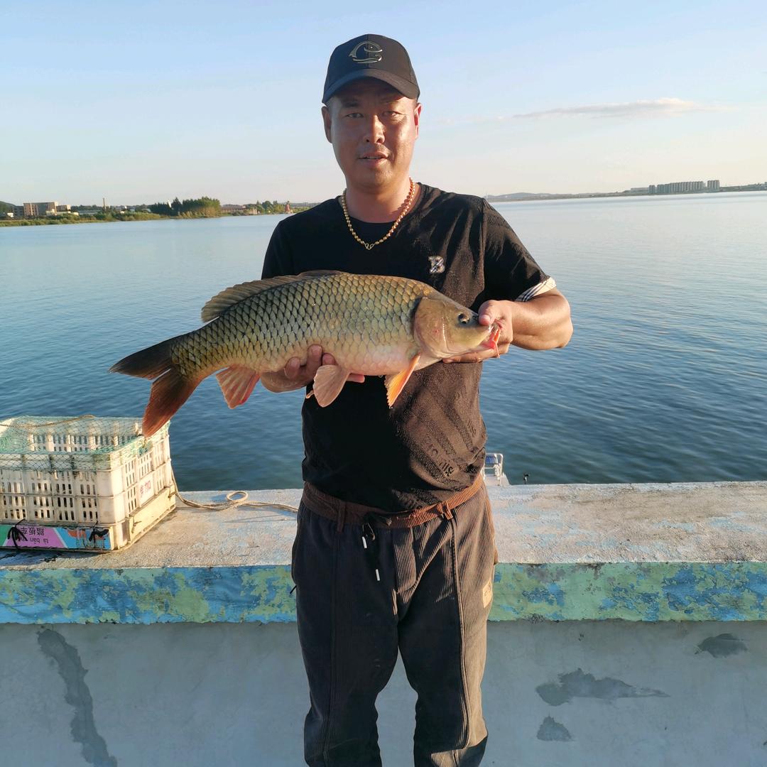 大超逗钓（小号）