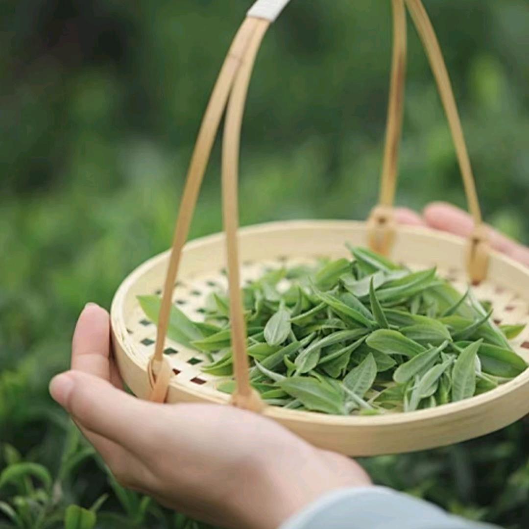 㛓娫本草头疗养发李集店