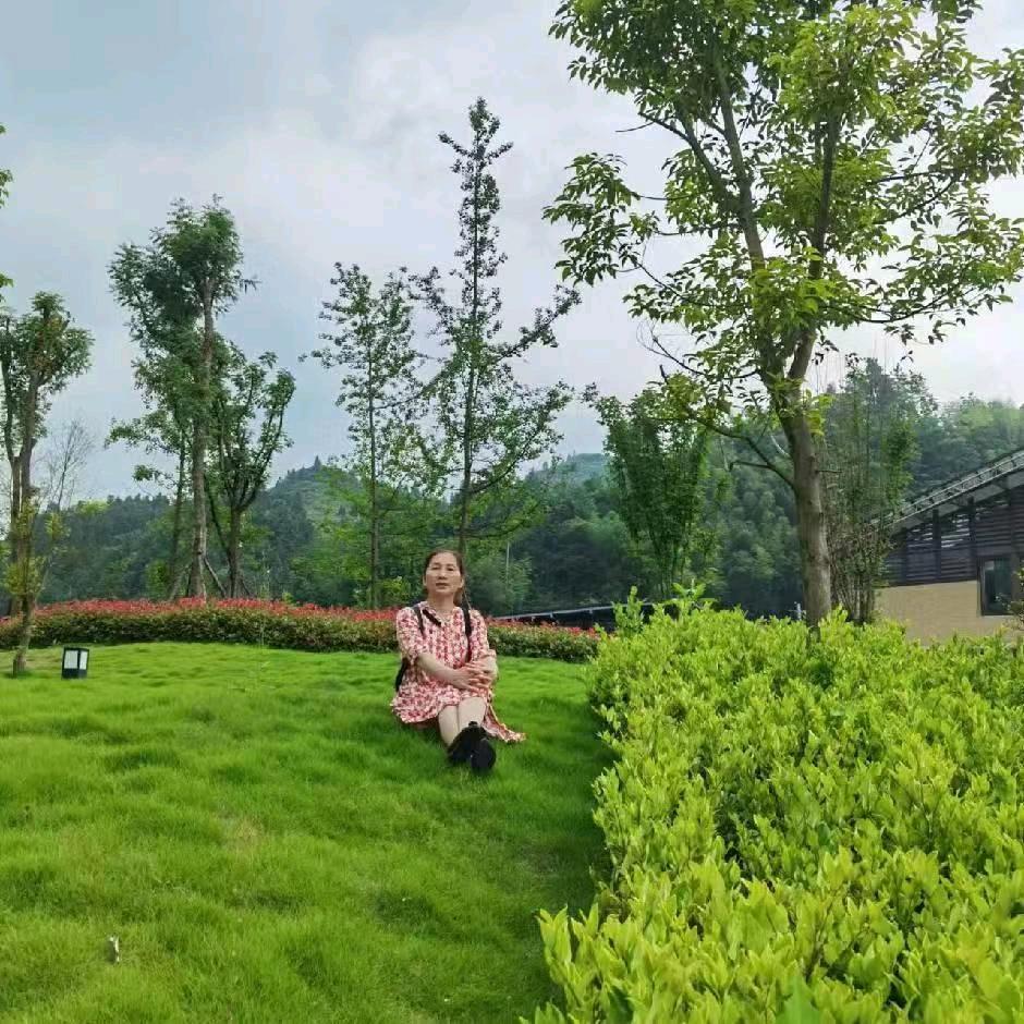 萍