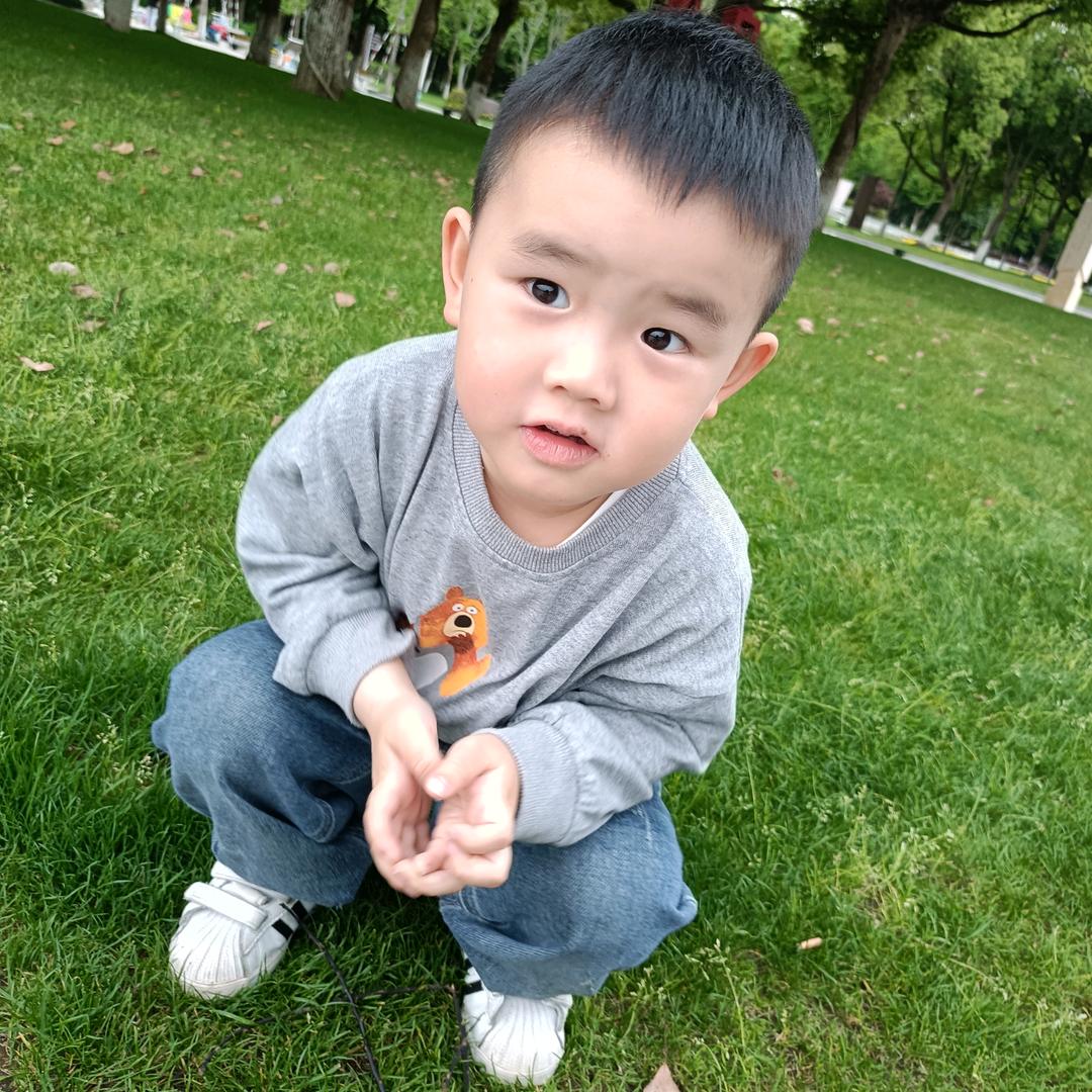 小木木
