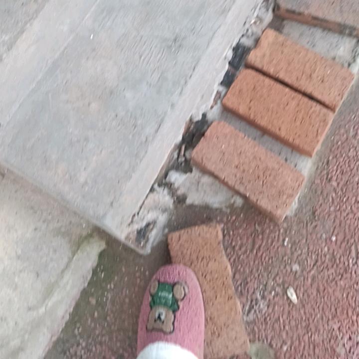 可爱🐱🐱🐱🐱