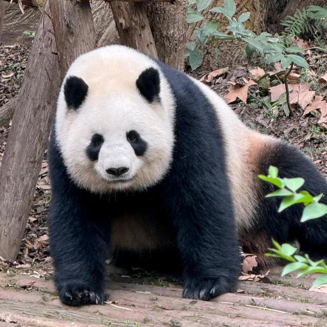 二郎鸿兴百货批发部