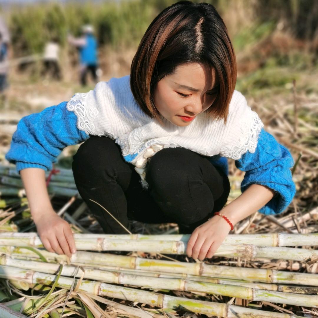 糖潮公煮