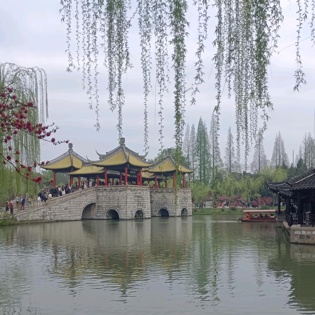 鱼儿