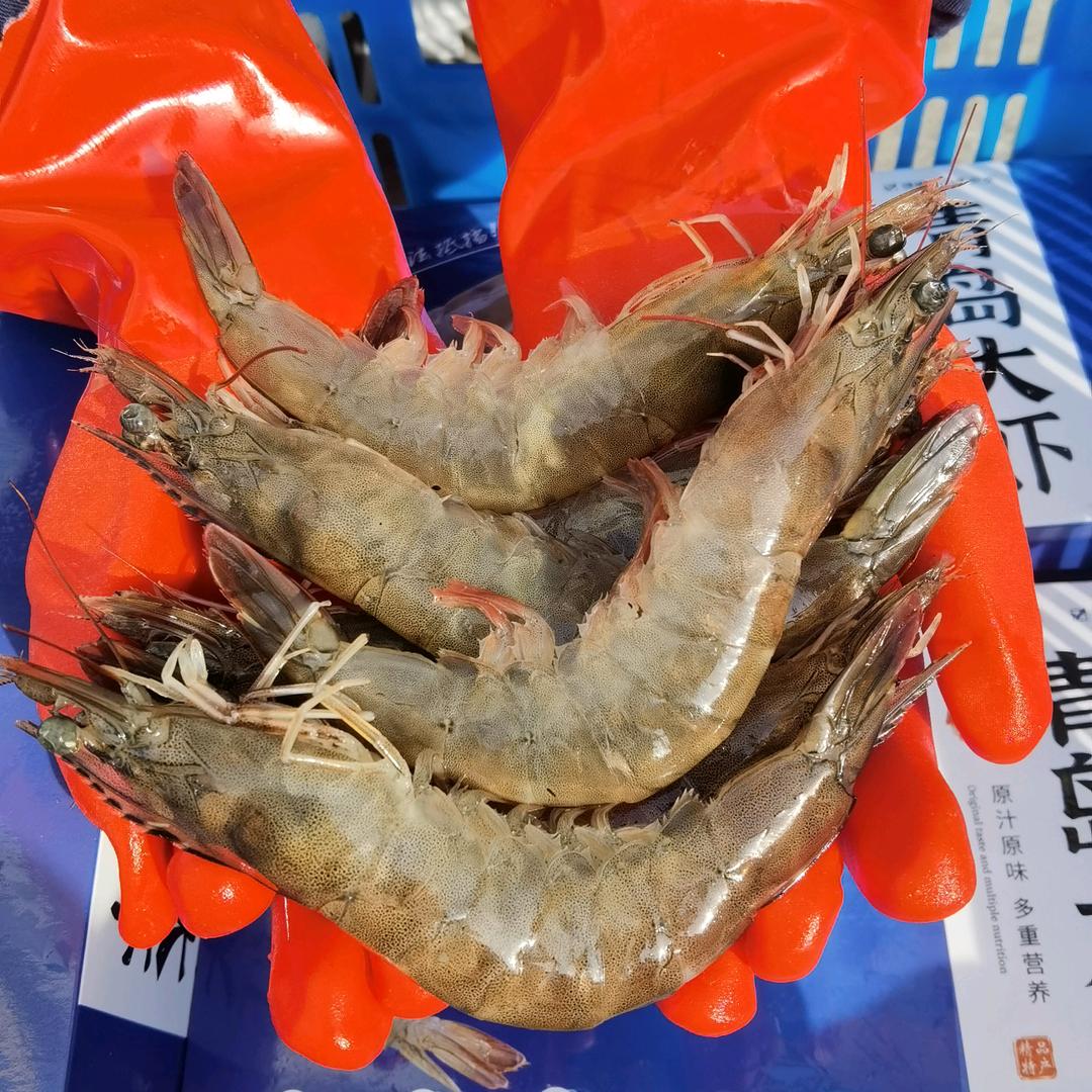 小渔村