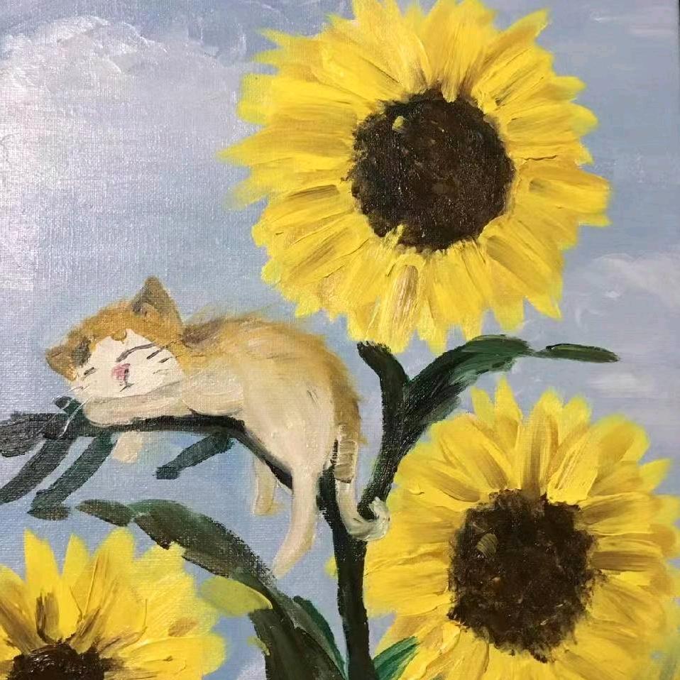 枫一样自由
