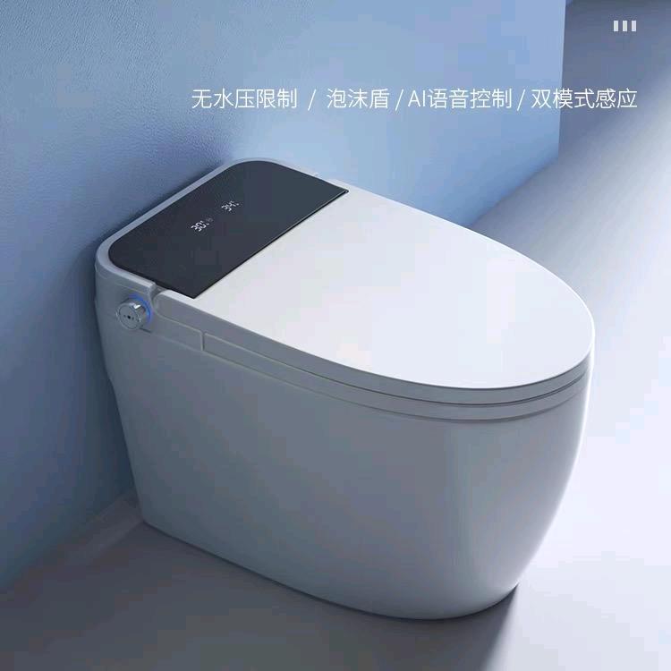 广东 爱家勒品牌（马桶工厂号）