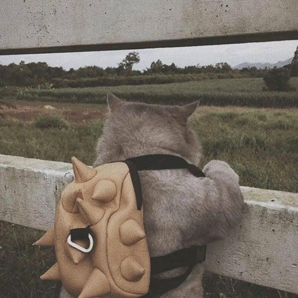 ◡̈⃝危笑