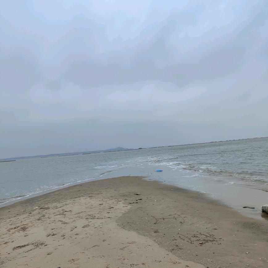 海宝