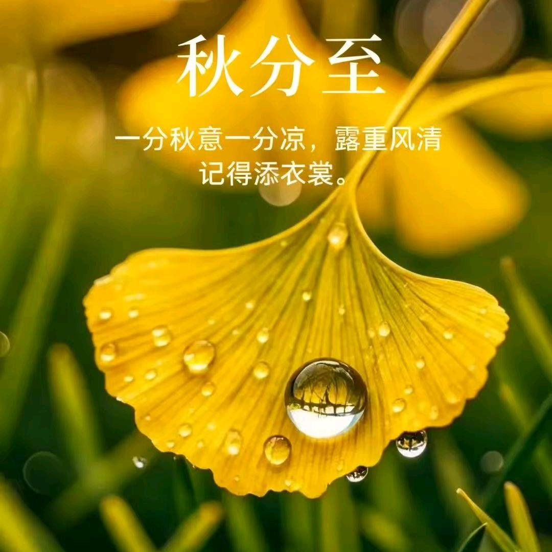 余生安好🌹❤️