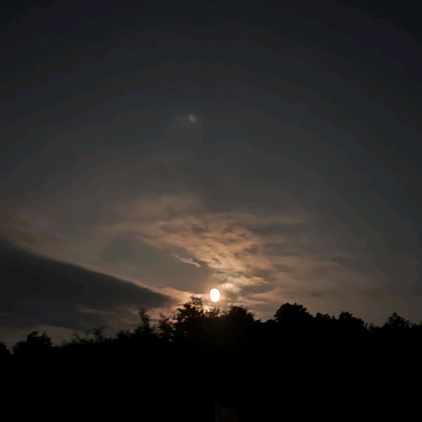 月亮🌙与六便士💰