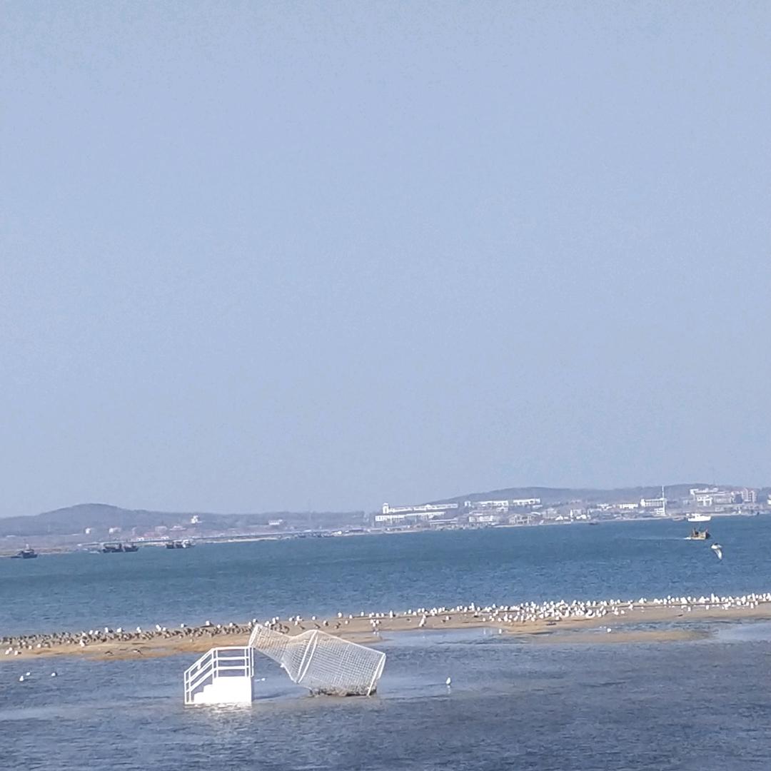 傻丫头