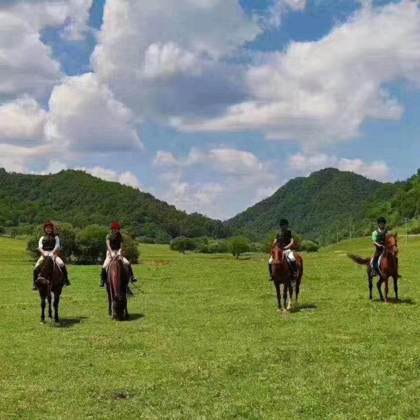 长驰马术俱乐部