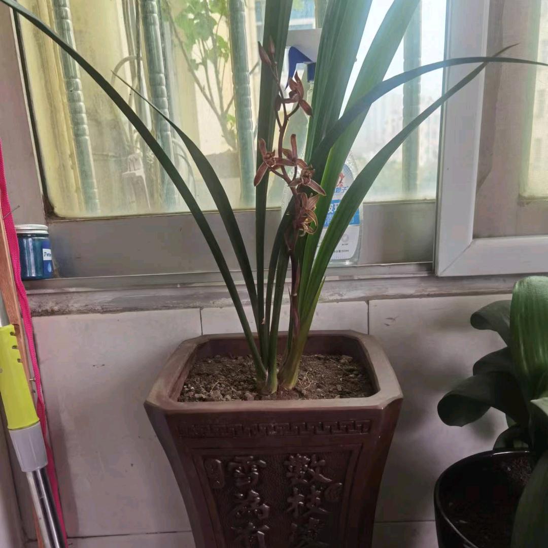 秋水无痕