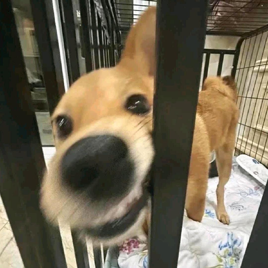 卓卓卓_1