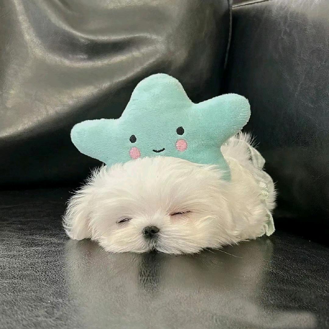 沐轩优选
