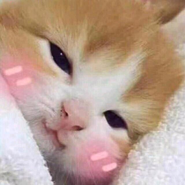 阿凡玩游戏@抖音