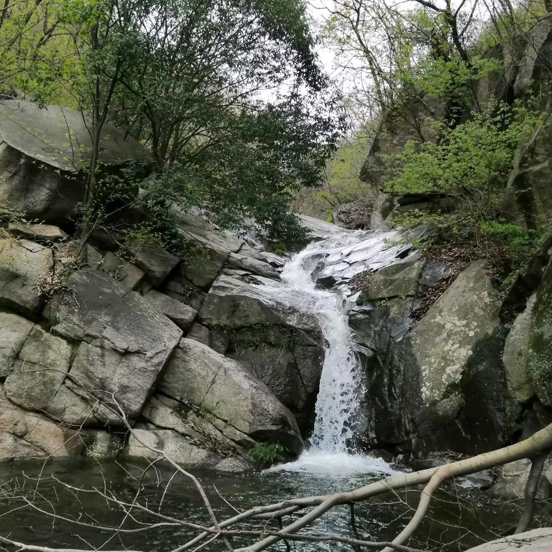 风哥
