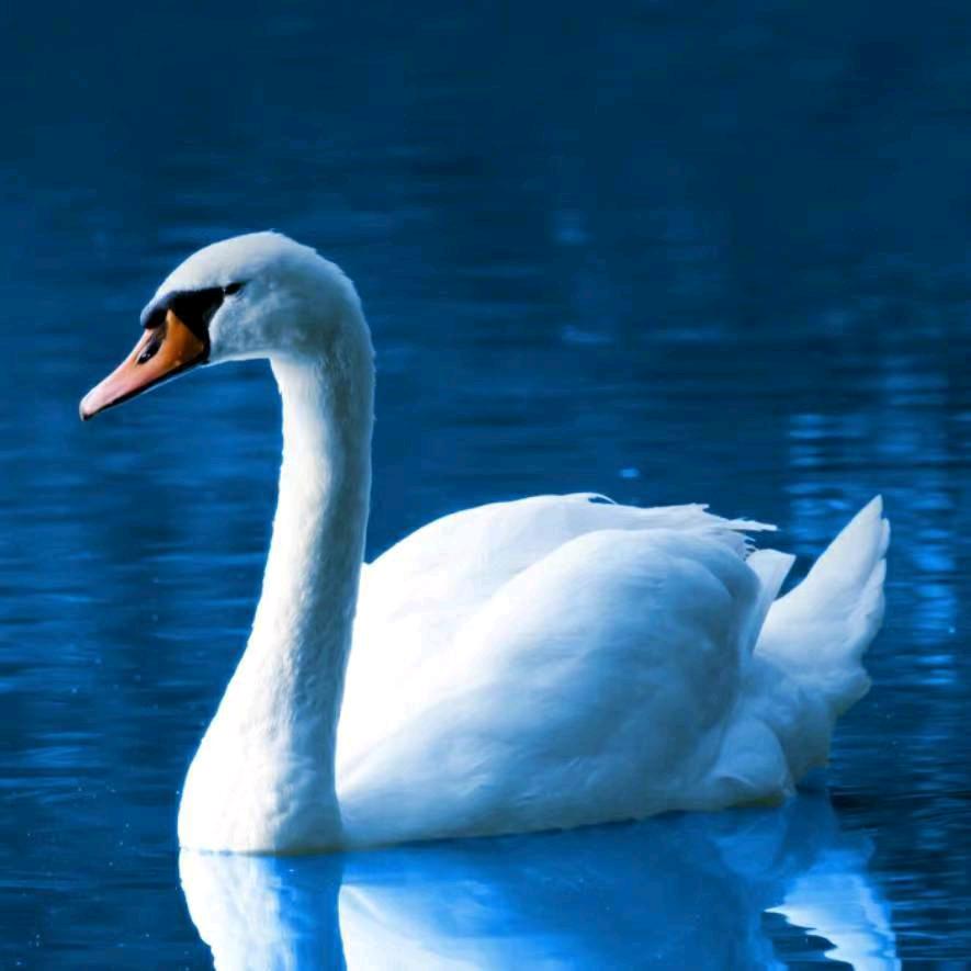 王建宝·出租彩棚 联系我有奖励