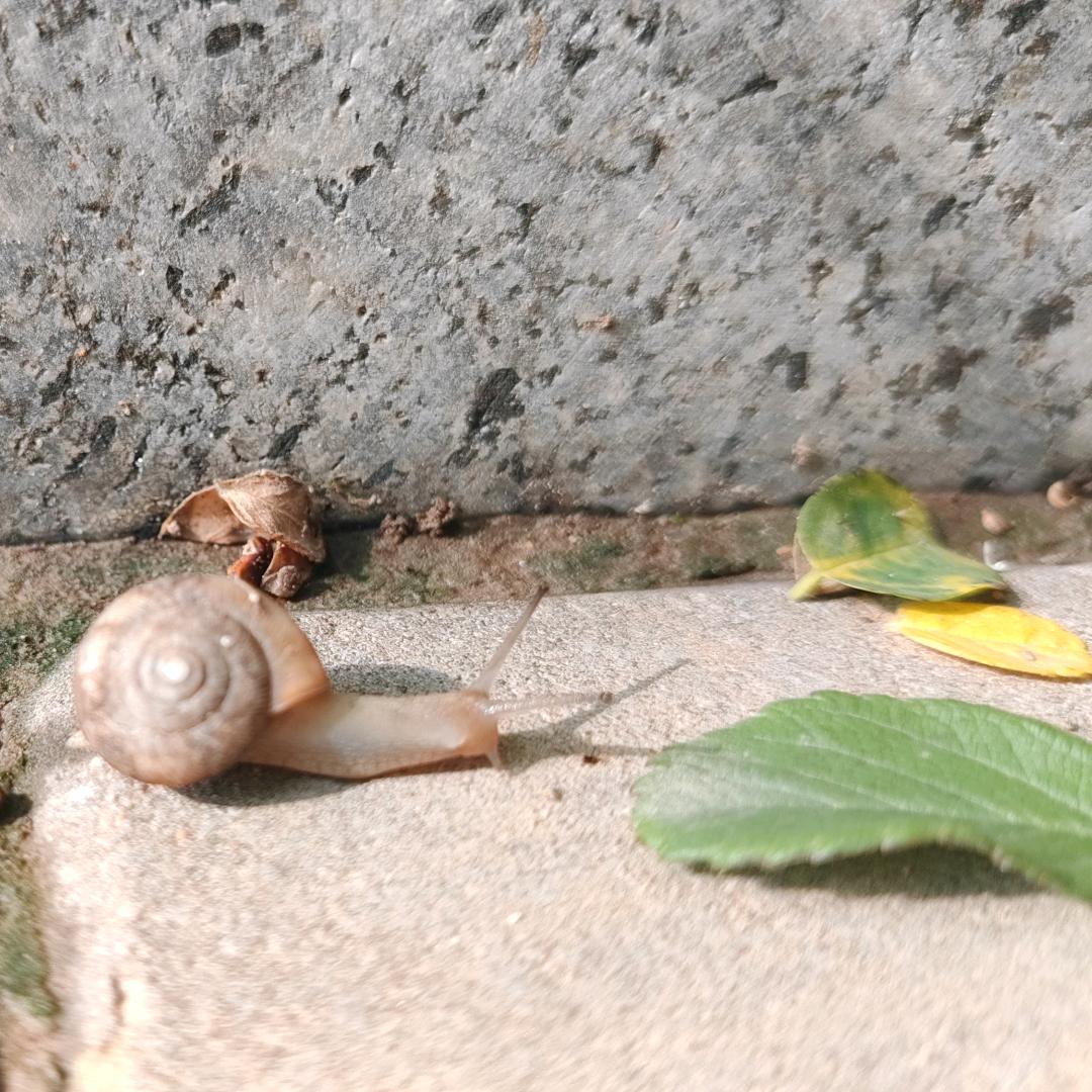 财迷小糊涂