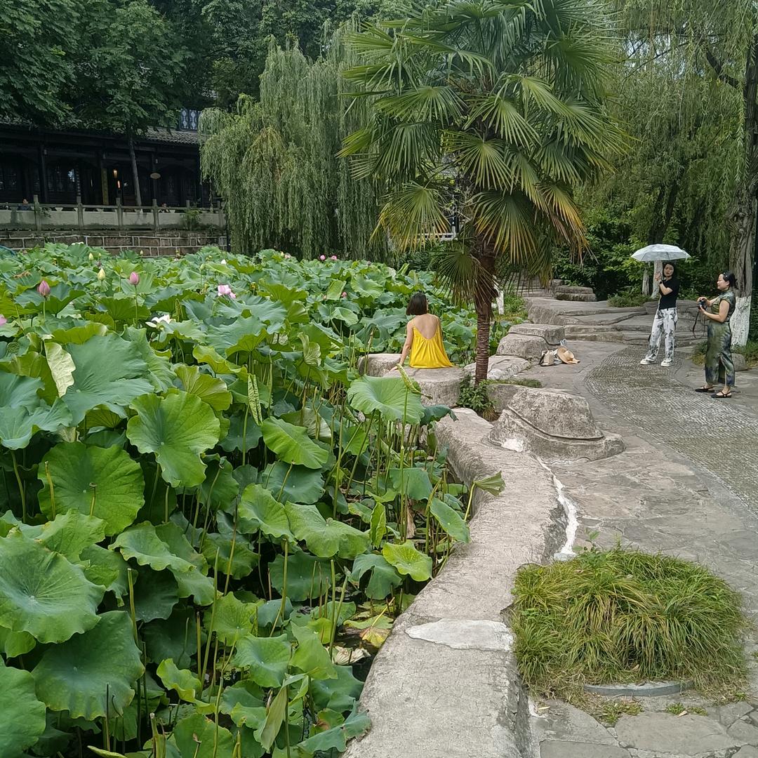 科创园哪个单身美女叫什么各字。电话给我发