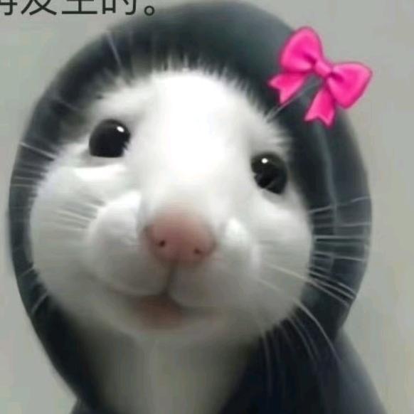 每一刻都像永远