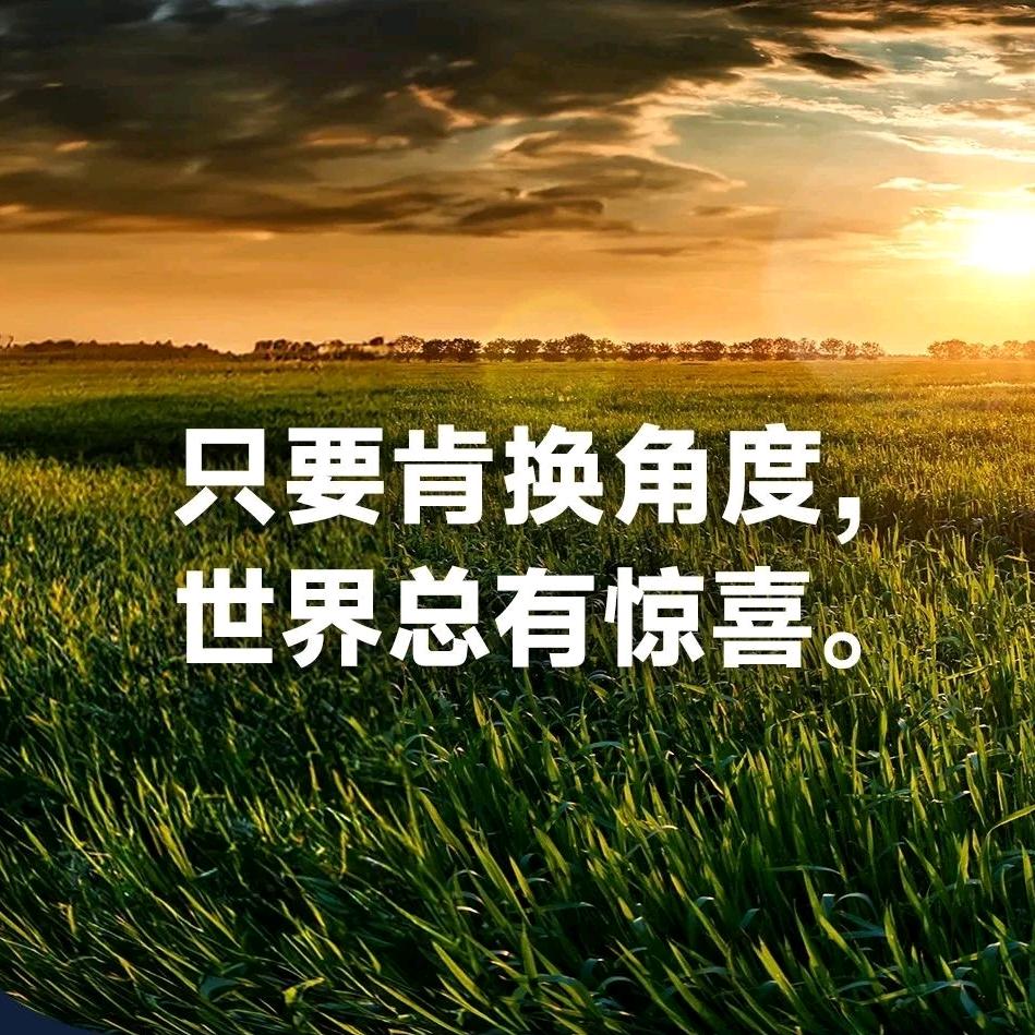 天道自然成