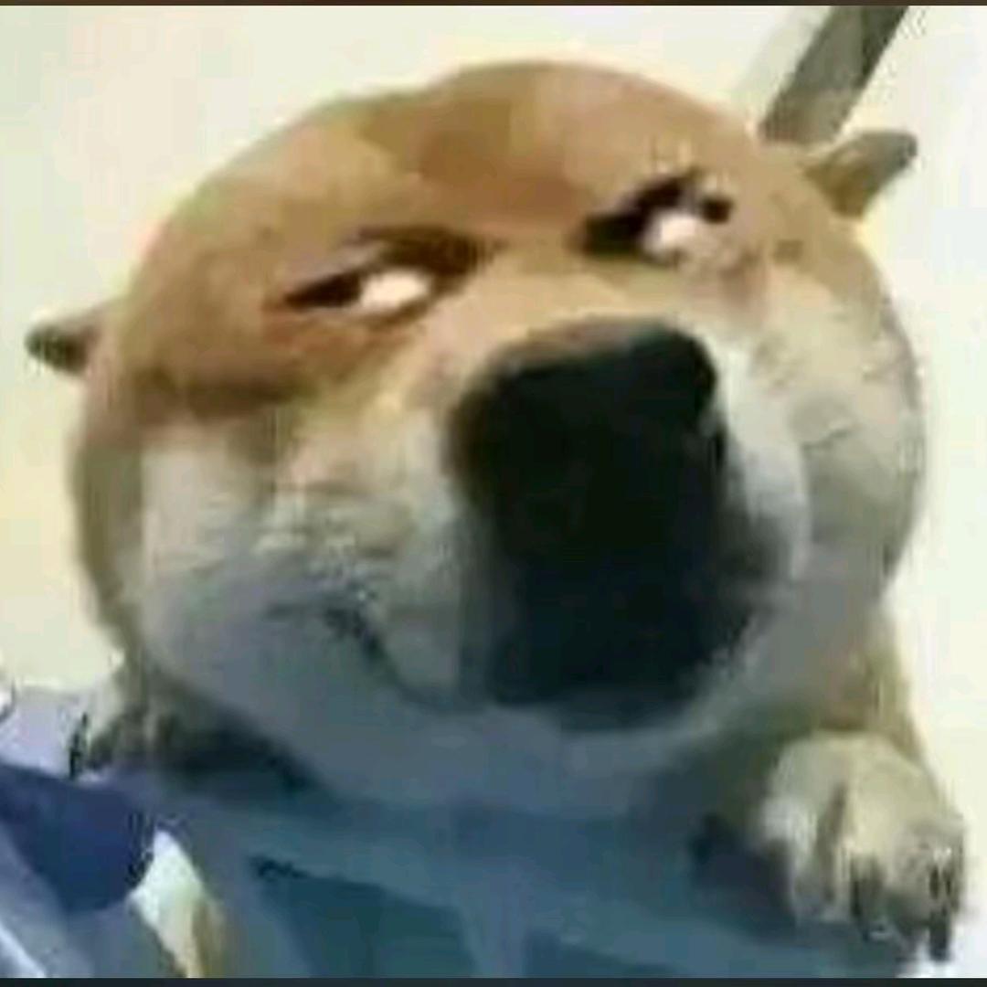 墨白且
