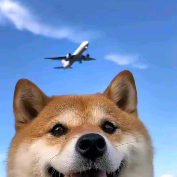 康sir🌝