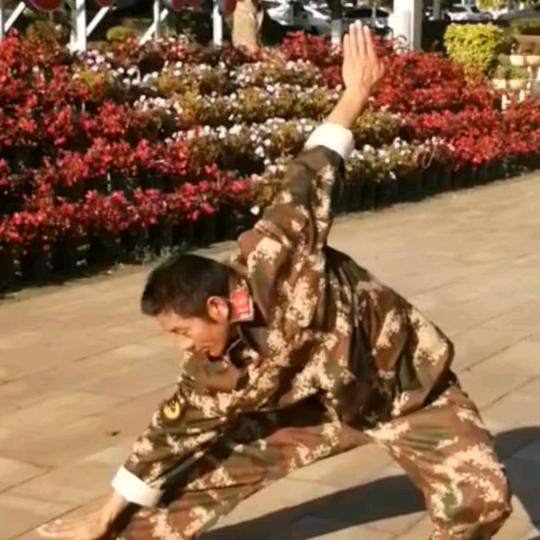 丨宝🗡未老🇻🇳  💞