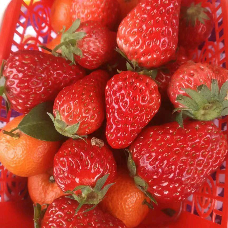 自由自在🍒🍒🍒🍒