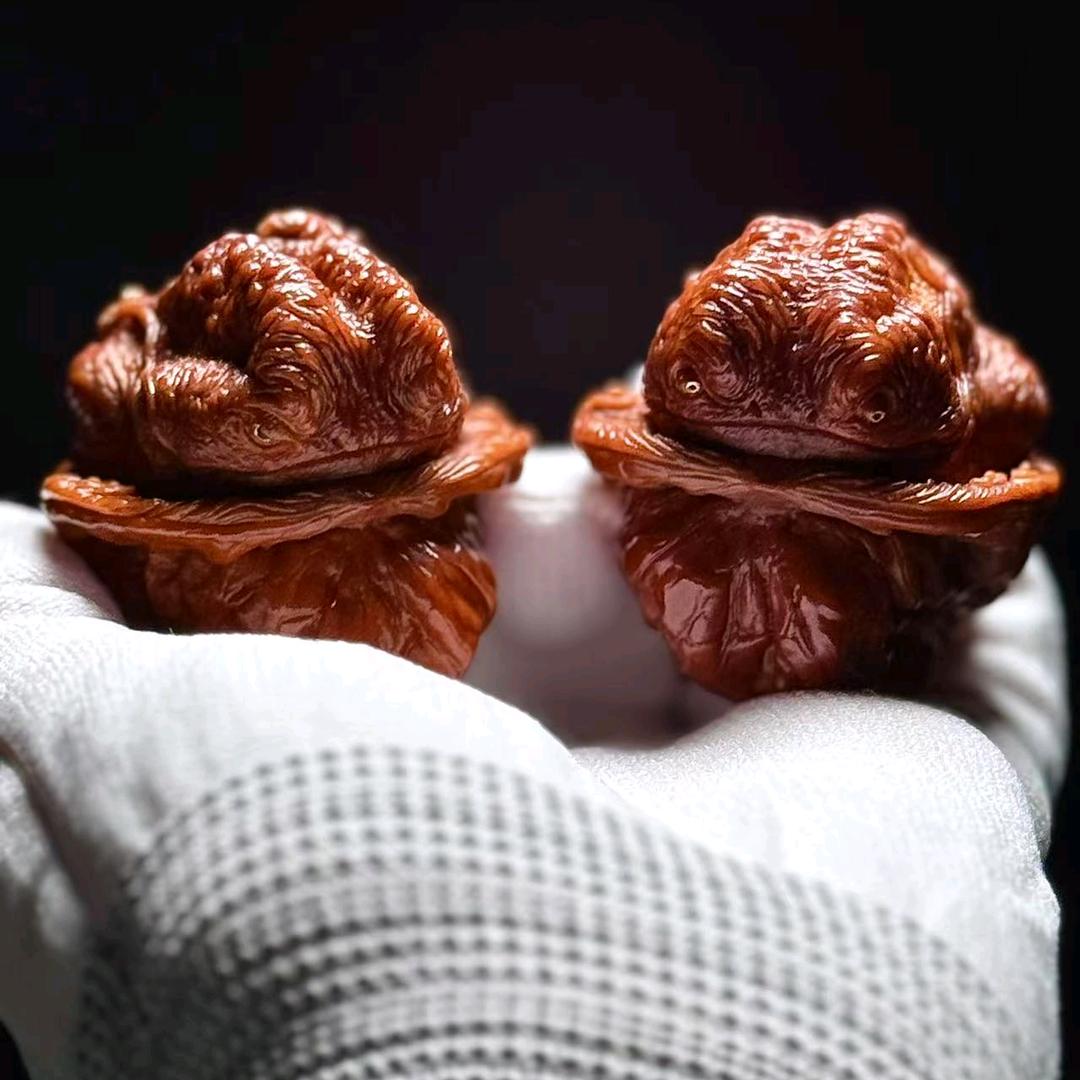 名字太难想了啊实在是