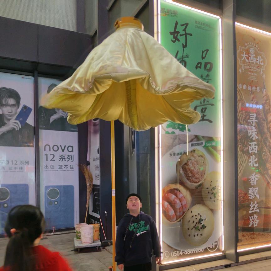 翩