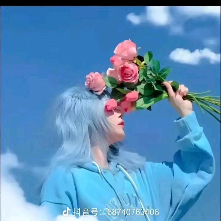 雁南飞