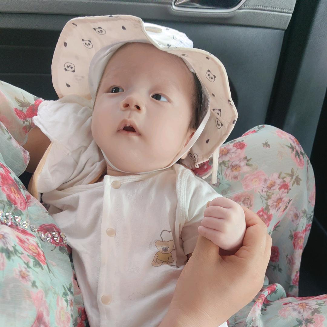 多米（正在睡圆头版）