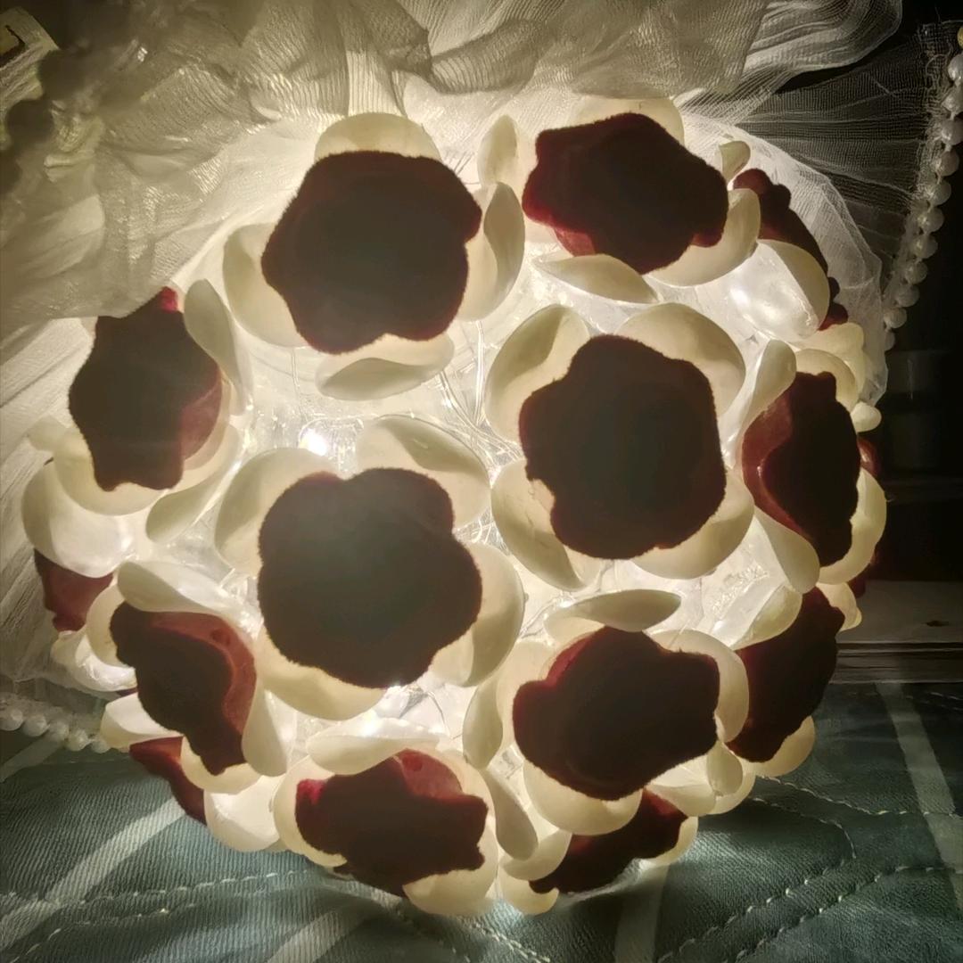 月无缺