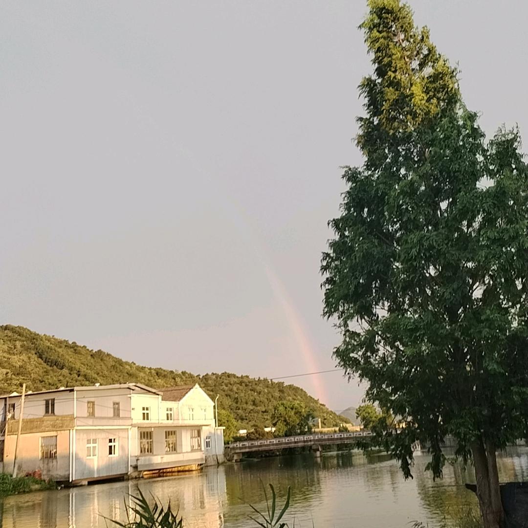 泽泽nn