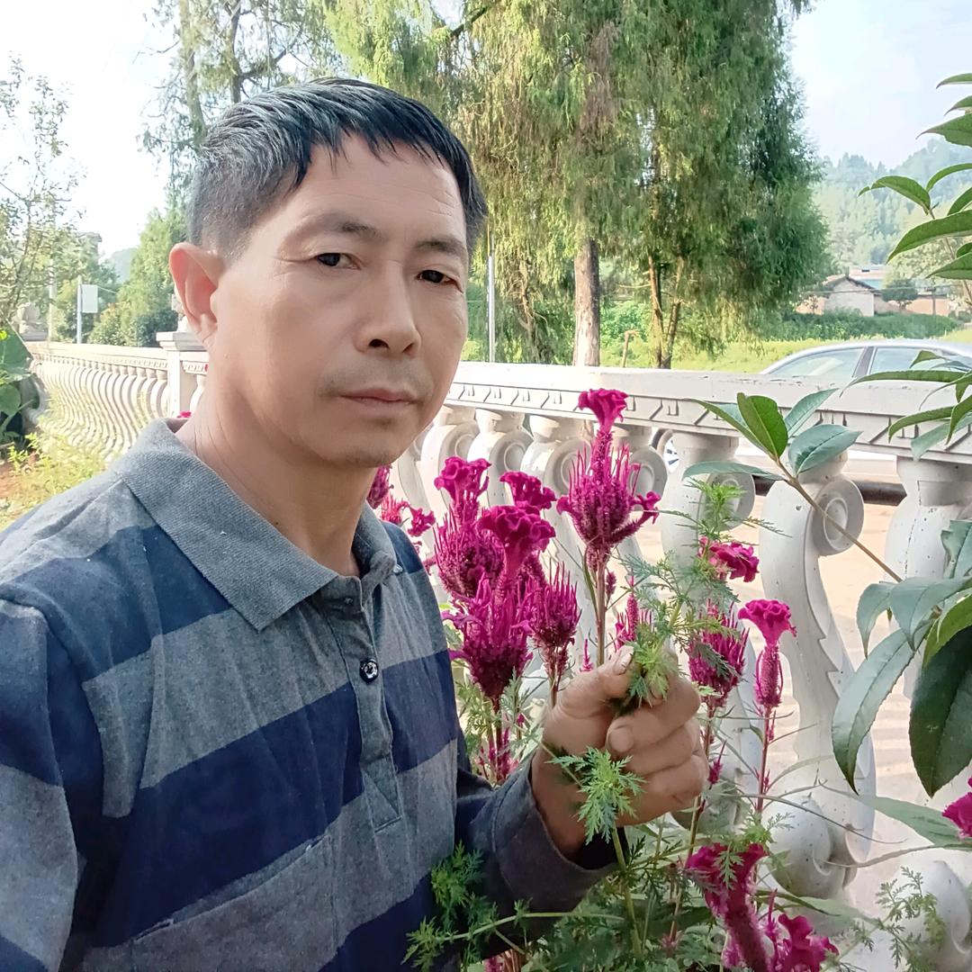 贵州花草