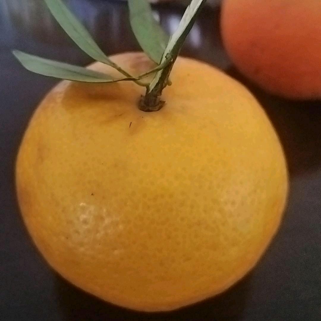 kabli