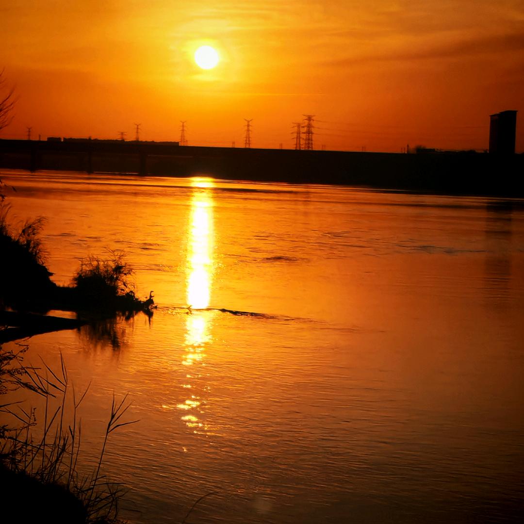 爱吃鸡爪的猫（拒私聊）