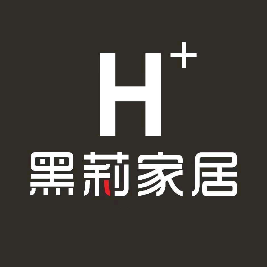 沈阳黑莉背景墙