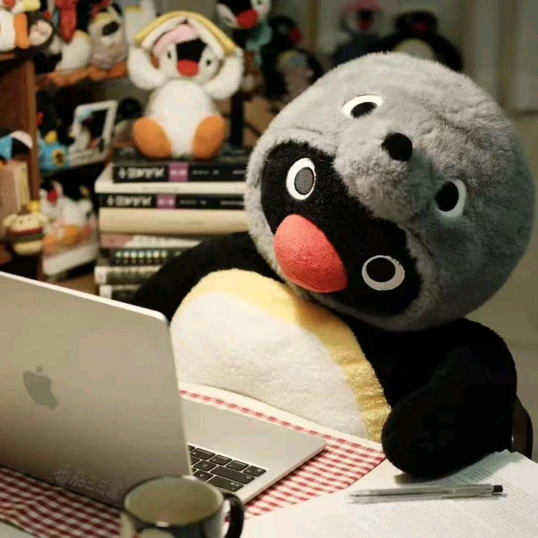 统括理事长（夕阳红枪法代言人）