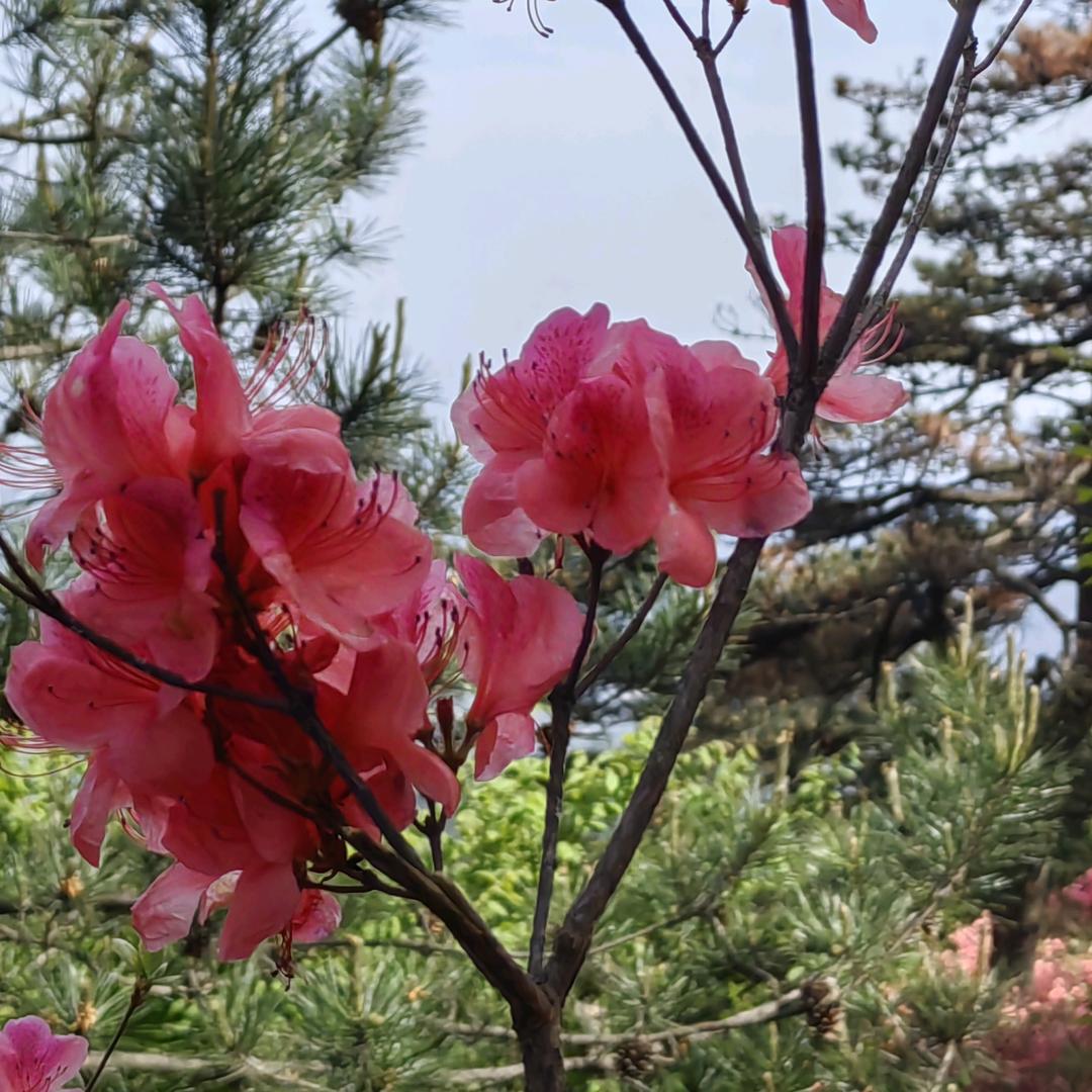 付姐好物