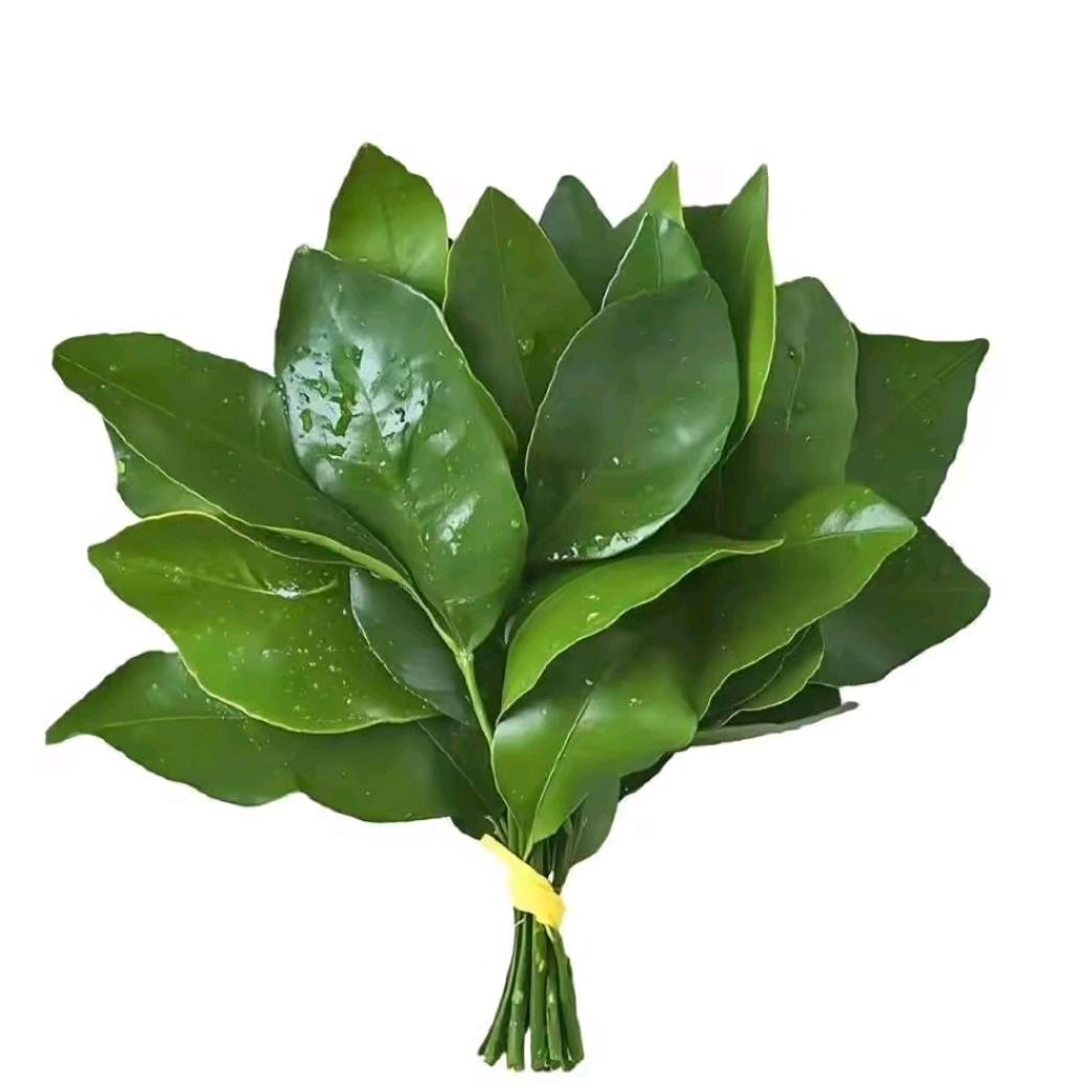 爱吃🌈瓜紫r～